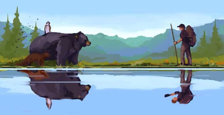 ADK Life Magazine - Respect for Wildlife