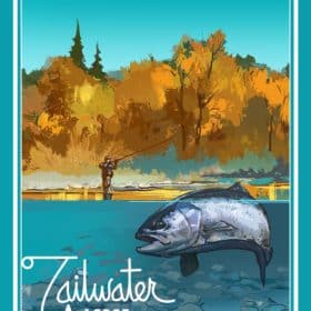 Tailwater poster