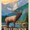 Rocky Mountain National Park: Bull Elk